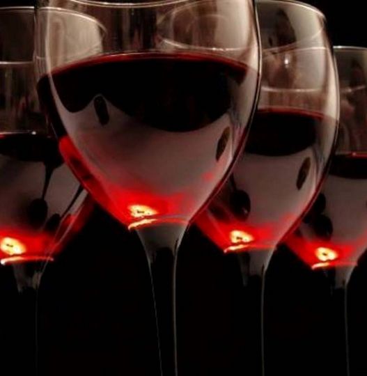 Especialista indica e vende bons vinhos por excelente preço