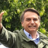 Bolsonaro pode ser uma espcie de macaco sujo de leo que tira o carro do buraco   